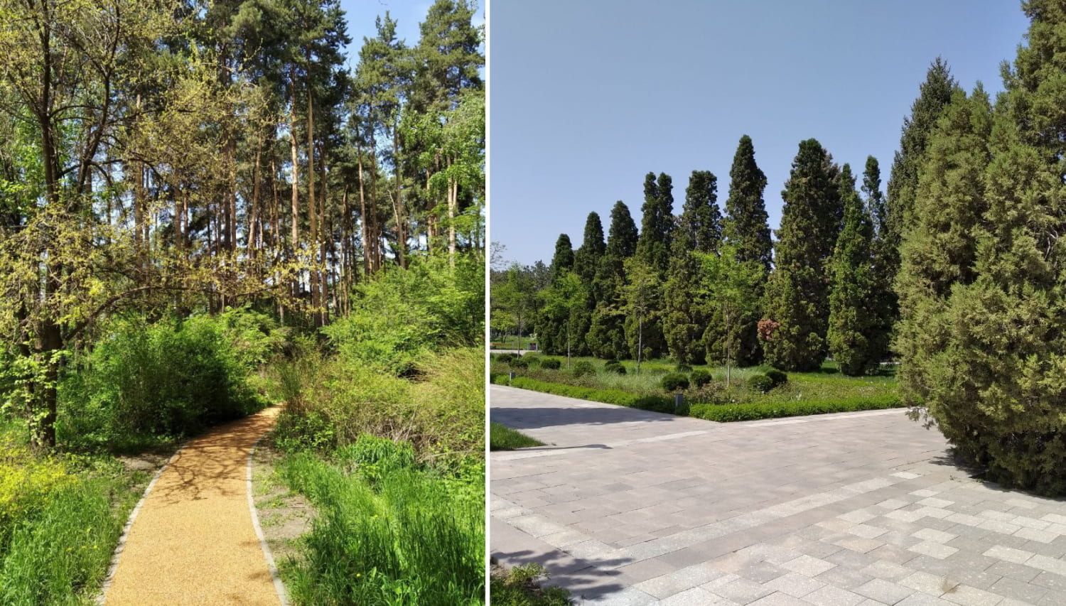 Almaty botanical garden 1